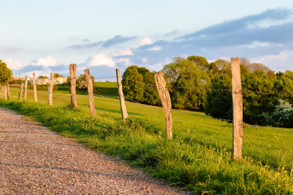 L'immobilier rural : un marché dynamique avec de belles opportunités