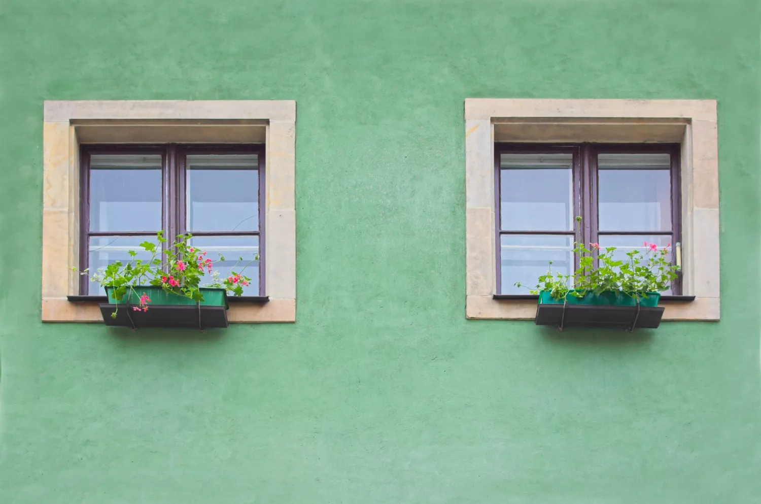 Remplacement des Fenêtres : Guide Ultime pour Améliorer l'Efficacité Énergétique de Votre Maison