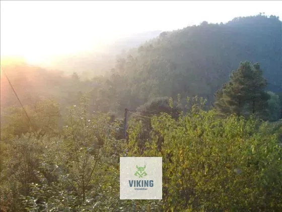 Le Thau, 30450 Chambon, France