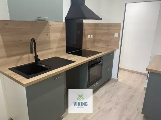 Appartement T2 rénové de 52 m2 Quais de la fontaine