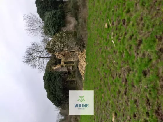 Le Lavazais, 44260 Bouée, France