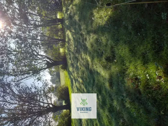 Le Lavazais, 44260 Bouée, France